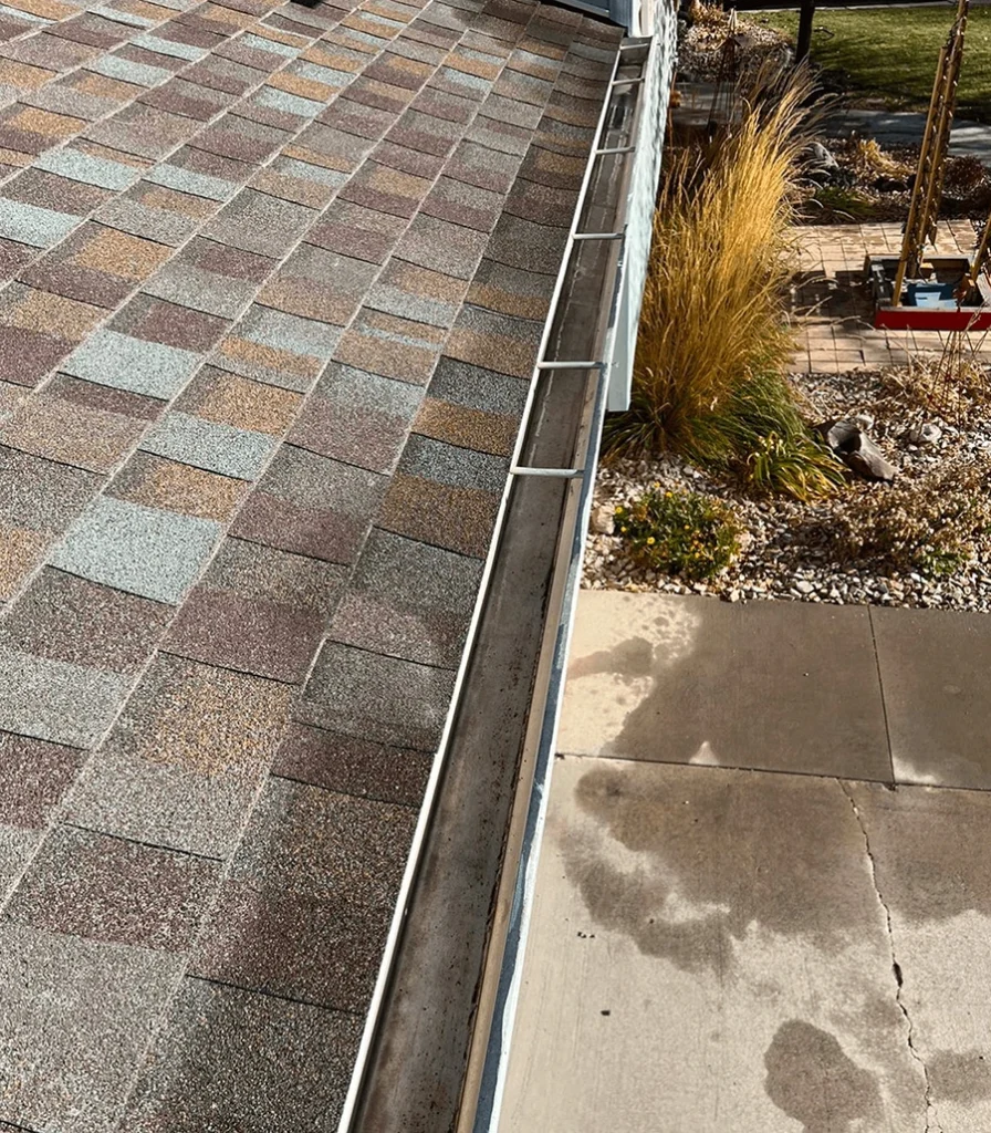 Gutter Cleaning