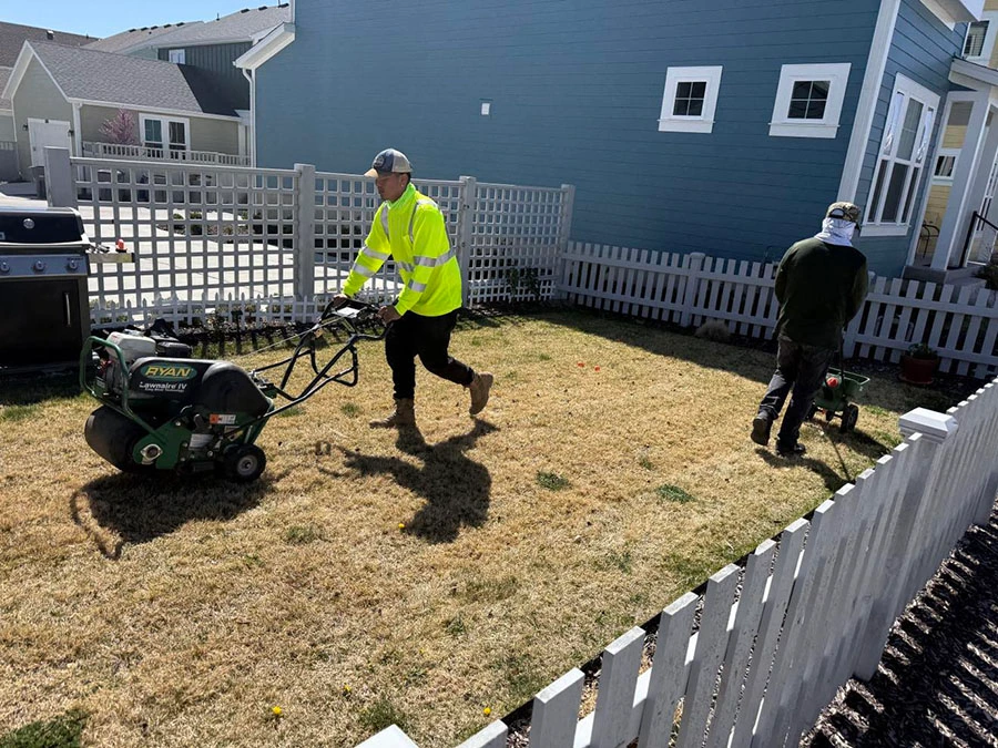Lawn Aeration Services