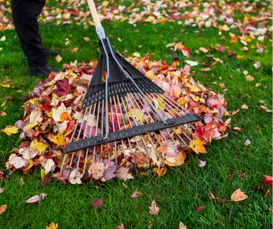 Fall cleanup services in South Jordan & Salt Lake City by J&A Landscaping – raking leaves and preparing lawns for winter.