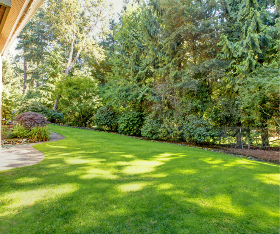 Fall cleanup service in South Jordan & Salt Lake City by J&A Landscaping – keeping lawns clean and ready for winter.