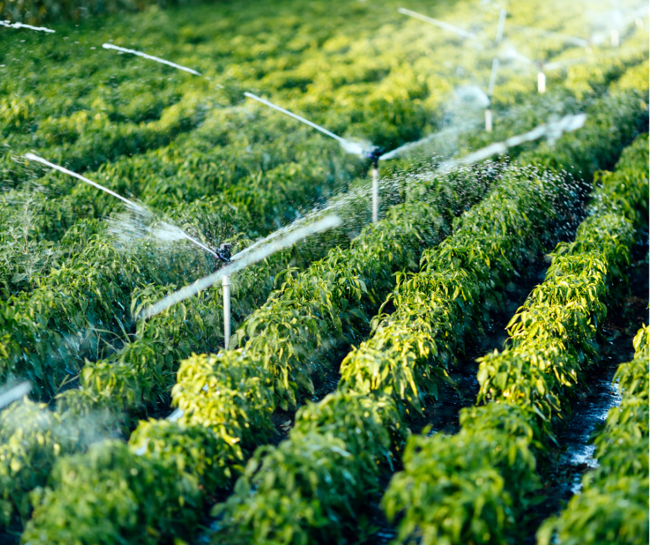 Irrigation services in South Jordan & Salt Lake City by J&A Landscaping – efficient sprinkler systems for healthy lawns.