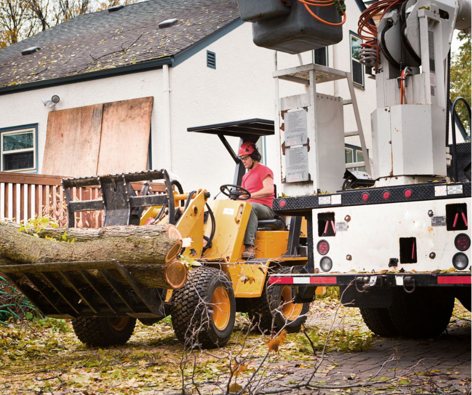 Tree removal service in South Jordan & Salt Lake City by J&A Landscaping – safe and professional tree cutting.